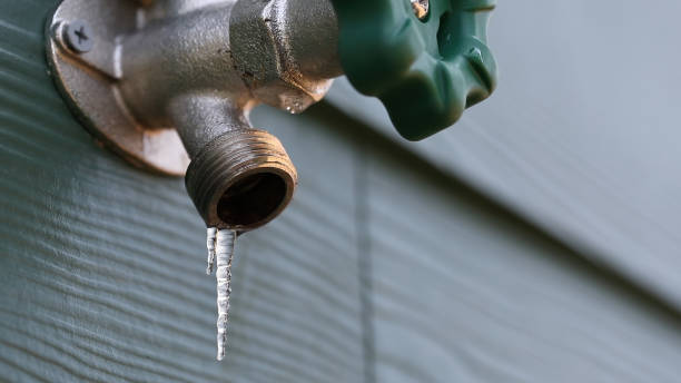 Best Local Plumber Services  in Colma, CA